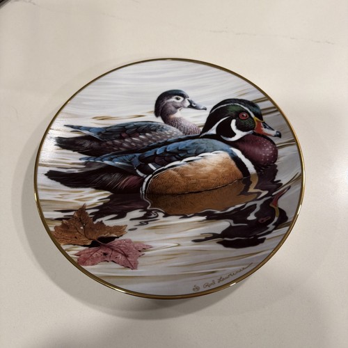 American waterbirds wood ducks - american,