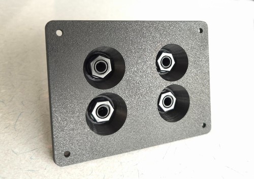 Input jack plate for - 4,
