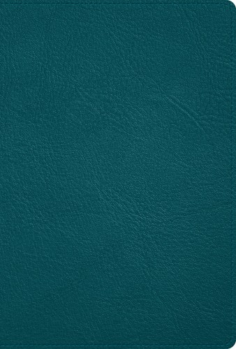 Biblia rvr 1960 deluxe - 1960, piel