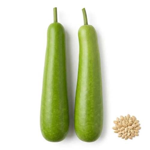 Bottle gourd seeds - 35,