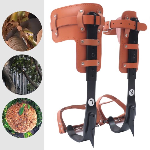 Adjustable tree climbing spike - tree,