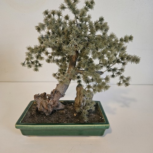 Vtg artificial bonsai - artificial,