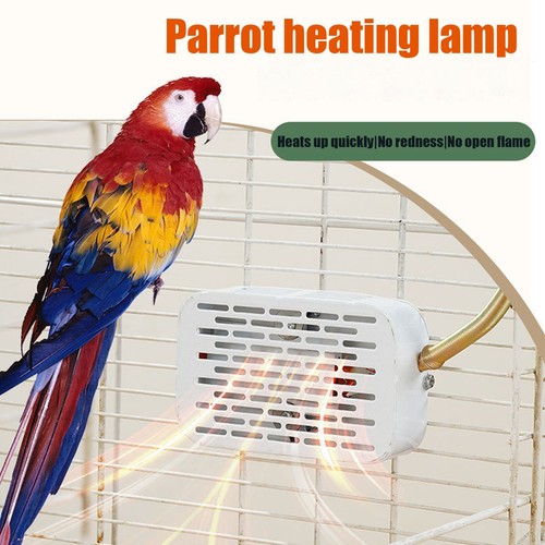 Bird heater for - bird, cage