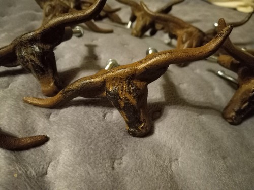 Rustic longhorn steer - longhorn,