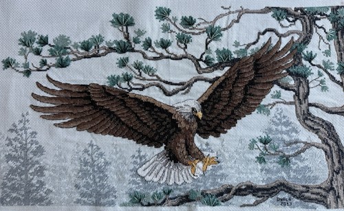 Finished majestic eagle - “majestic, eagle”