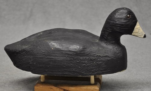 Excellent herters coot duck - herters,