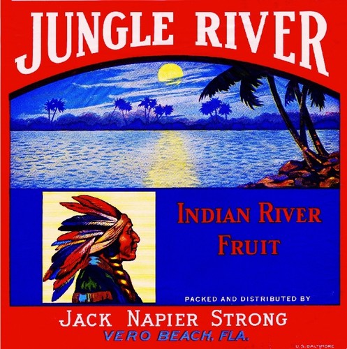 Vero beach florida jungle - vero,