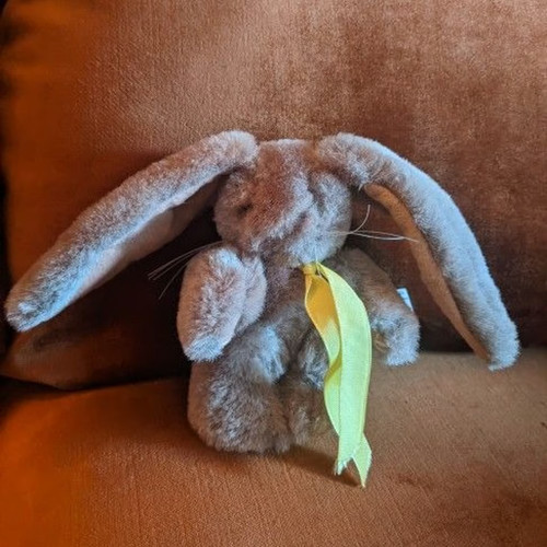 Vintage 1980 holland lop - vintage,