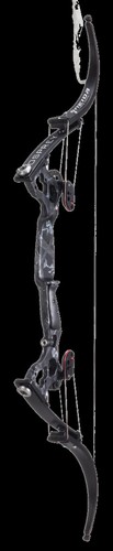 Oneida eagle osprey blood - osprey,
