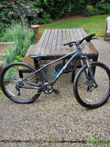 Avalanche mountain bike - gt,