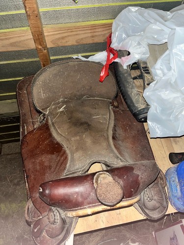 Saddle - ,