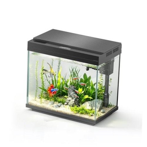 Gal glass fish tank - 3,