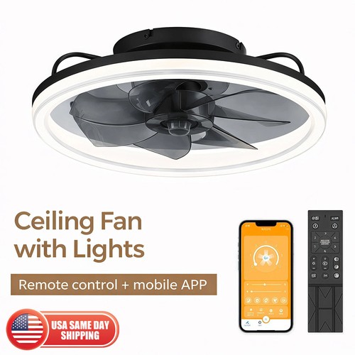 Modern fan lights - 20",