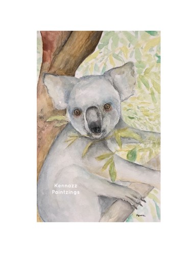 Painting koala watercolour - painting,