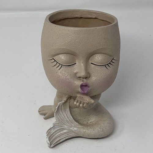 Cute mermaid face planter - face,
