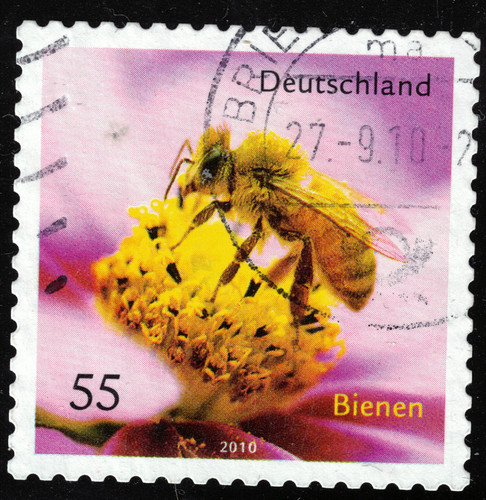 Germany 2010 fauna - germany,