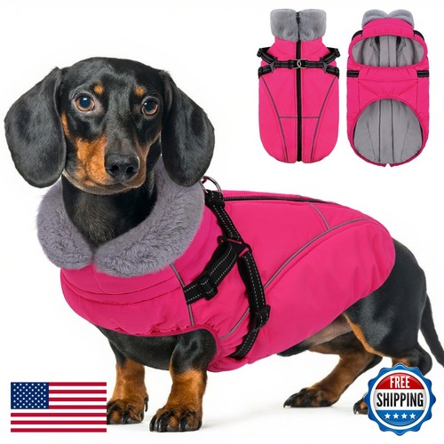 Large dog winter coat with - coat,