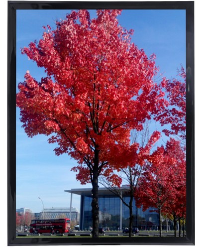 12x16 picture frame - 12x16,