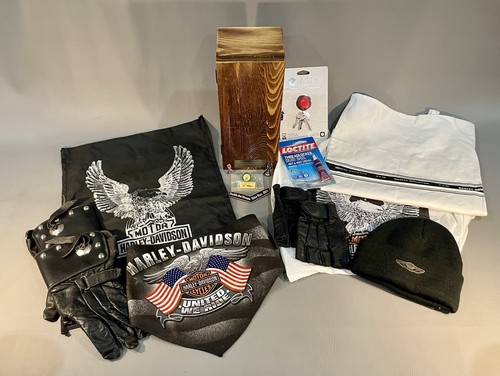 Harley davidson treasure trove - treasure,