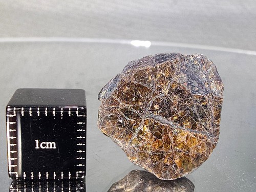 Nwa 17644 pallasite pmg - 17644,,