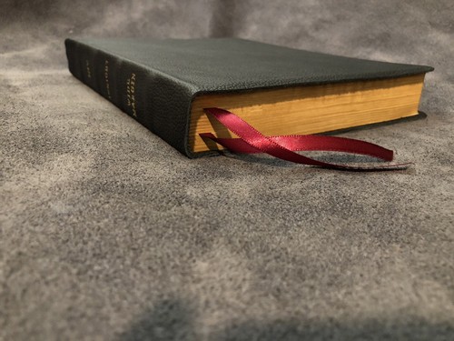 Cambridge niv insight - cambridge, wide