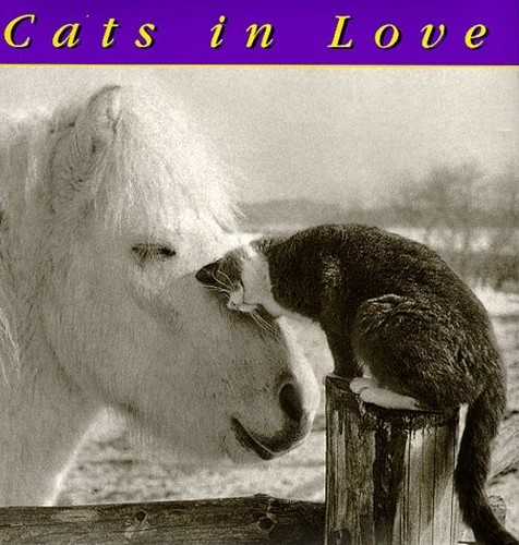 Cats love very - very, good