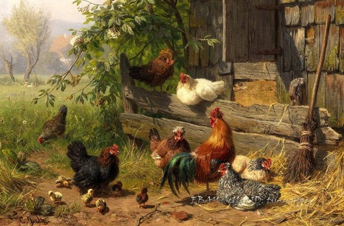 Chicken classical oil - , painting