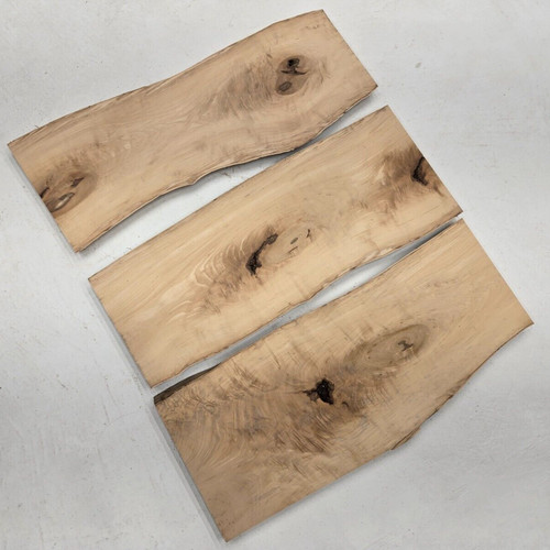 Set hard maple - maple, live
