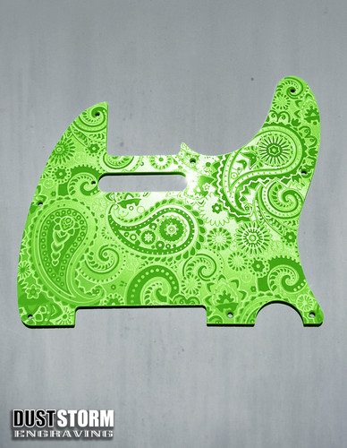 Paisley telecaster hole - paisley,