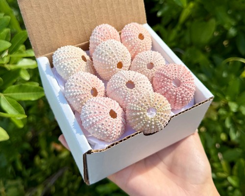 Pack gift box natural - gift,