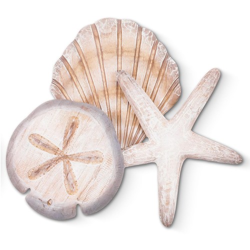 Novabright coastal sea - coastal, shell