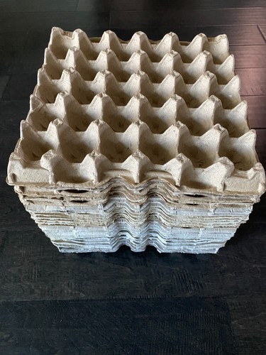 Clean flat paper - paper, egg