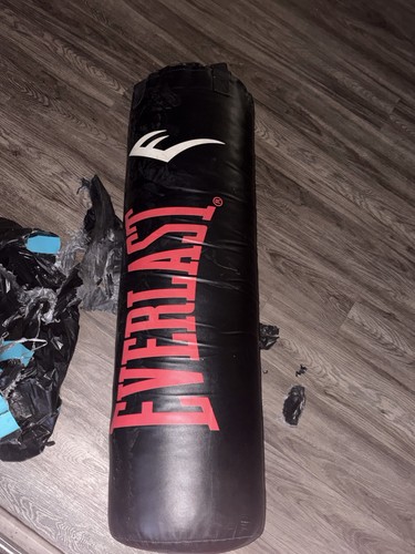 Everlast heavy bag - everlast, punching
