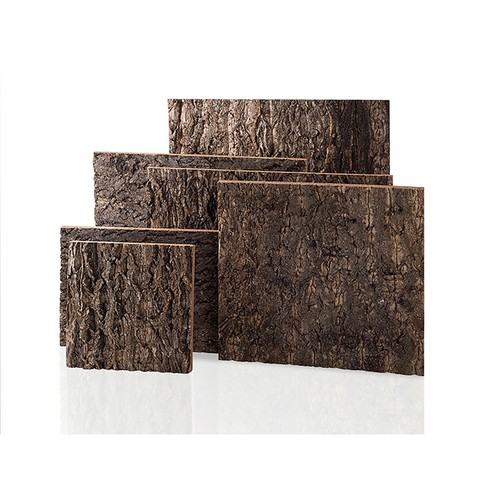 Natural tree bark background - tree,