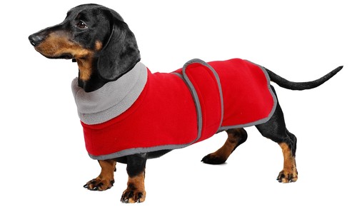 Geyecete dachshund sweaters - dachshund,
