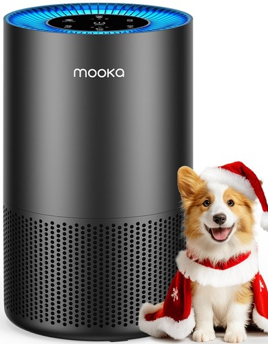 Air purifiers for - for, home