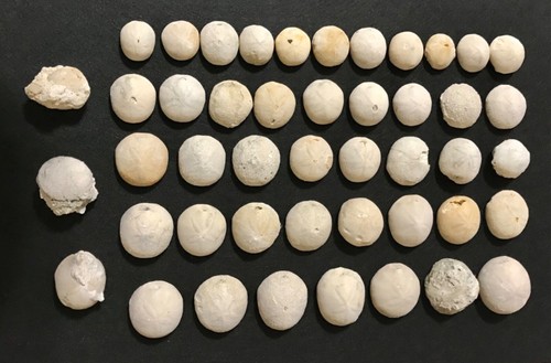 Wholesale priced lot - wholesale, on