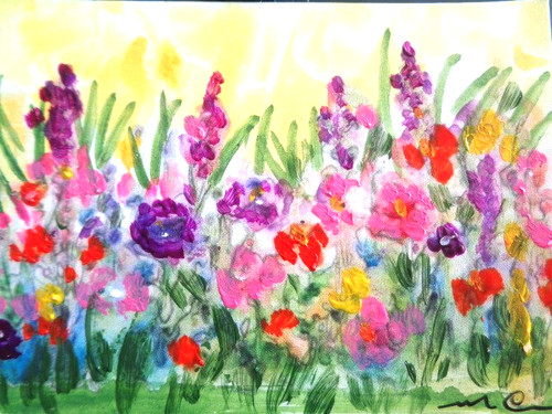Aceo colorful field of - ,
