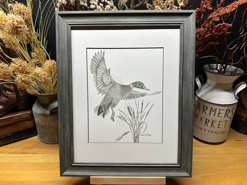 Drawing flying duck - duck, &