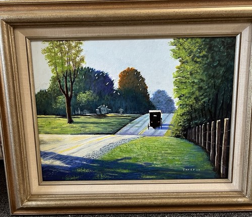 Original amish buggy country - amish, buggy/country