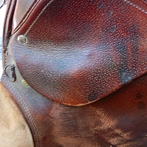 Brown leather dressage - brown,