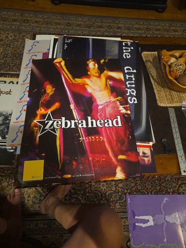 Zebrahead dream records - zebrahead,