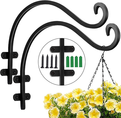 Inch plant hangers outdoor - plant,
