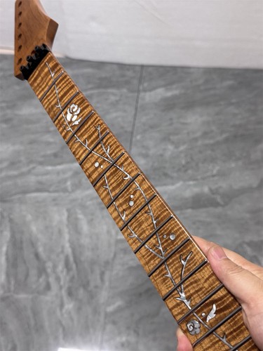 Aaaa stainless 24fret - stainless,