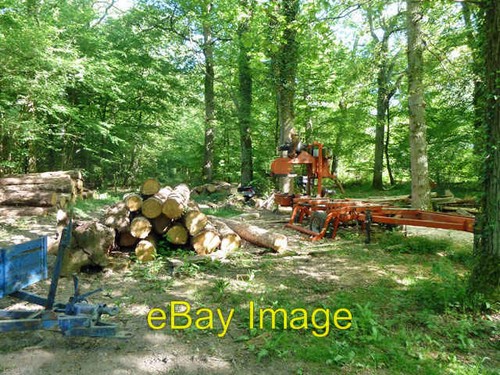 Photo 6x4 portable sawmill - photo,