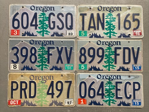 One oregon license - one, pine
