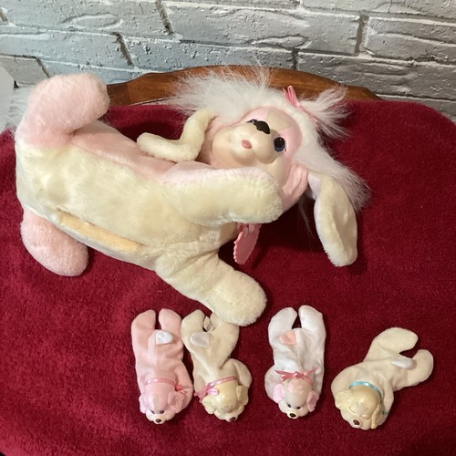 Vintage puppy surprise - mom, dog