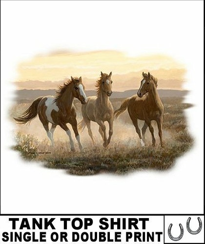 Beautiful wild paint mustang - beautiful,