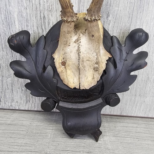 Signed deer trophy black - deer,