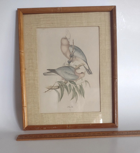 Vintage framed under glass - framed, j